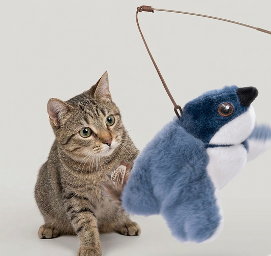 Flatternder Vogel Katzenspielzeug